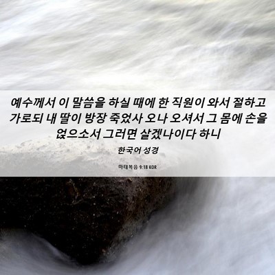 Picture 06 - 마태복음 9:18 KOR - 예수께서 이 말씀을 하실 때에 한 - Bible Verse Picture
