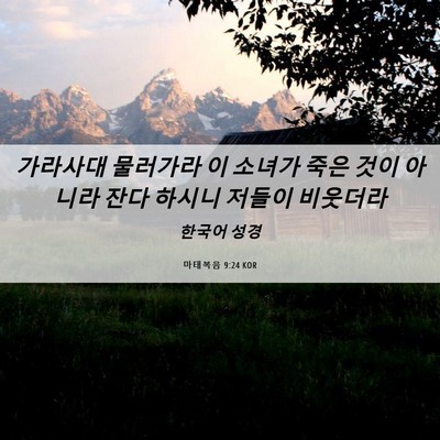 Picture 06 - 마태복음 9:24 KOR - 가라사대 물러가라 이 소녀가 죽은 - Bible Verse Picture