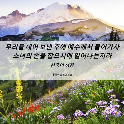 Picture 06 - 마태복음 9:25 KOR - 무리를 내어 보낸 후에 예수께서 - Bible Verse Picture