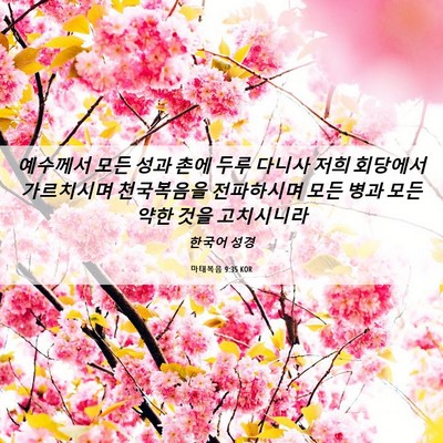 Picture 06 - 마태복음 9:35 KOR - 예수께서 모든 성과 촌에 두루 - Bible Verse Picture
