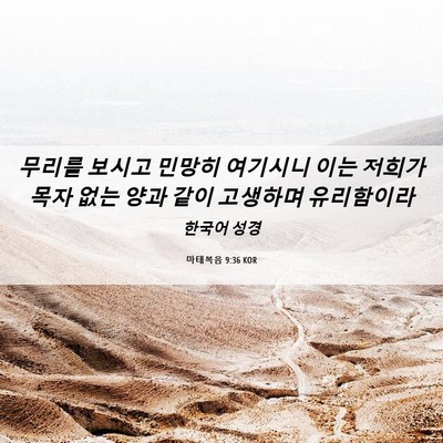 Picture 06 - 마태복음 9:36 KOR - 무리를 보시고 민망히 여기시니 이는 - Bible Verse Picture