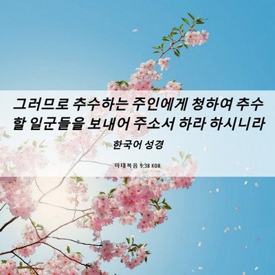 Picture 06 - 마태복음 9:38 KOR - 그러므로 추수하는 주인에게 청하여 - Bible Verse Picture