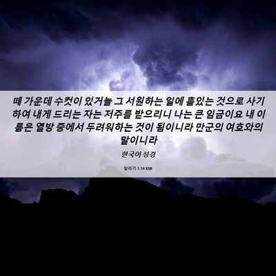 Picture 06 - 말라기 1:14 KOR - 떼 가운데 수컷이 있거늘 그 - Bible Verse Picture