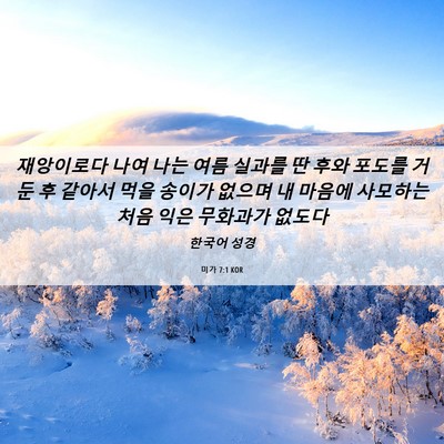 Picture 06 - 미가 7:1 KOR - 재앙이로다 나여 나는 여름 실과를 - Bible Verse Picture