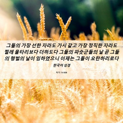 Picture 06 - 미가 7:4 KOR - 그들의 가장 선한 자라도 가시 같고 - Bible Verse Picture