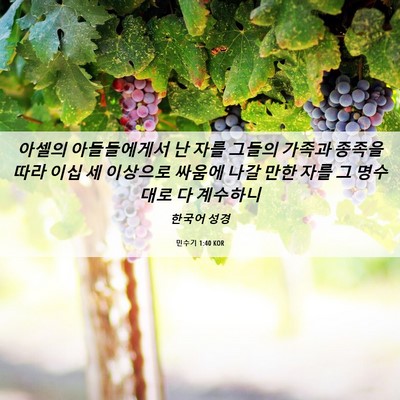Picture 06 - 민수기 1:40 KOR - 아셀의 아들들에게서 난 자를 그들의 - Bible Verse Picture