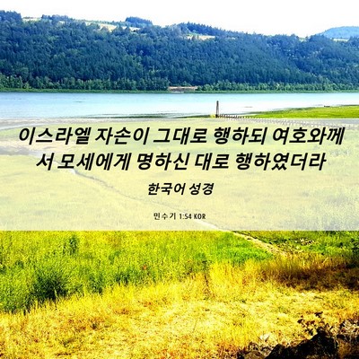 Picture 06 - 민수기 1:54 KOR - 이스라엘 자손이 그대로 행하되 - Bible Verse Picture