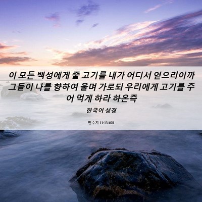 Picture 06 - 민수기 11:13 KOR - 이 모든 백성에게 줄 고기를 내가 - Bible Verse Picture