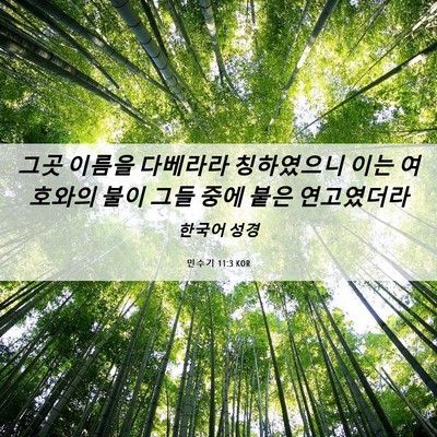 Picture 06 - 민수기 11:3 KOR - 그곳 이름을 다베라라 칭하였으니 - Bible Verse Picture