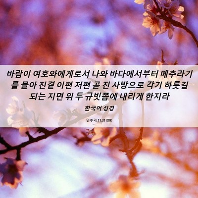 Picture 06 - 민수기 11:31 KOR - 바람이 여호와에게로서 나와 - Bible Verse Picture