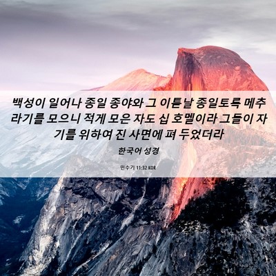 Picture 06 - 민수기 11:32 KOR - 백성이 일어나 종일 종야와 그 - Bible Verse Picture