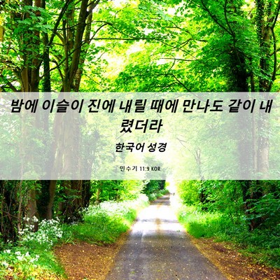 Picture 06 - 민수기 11:9 KOR - 밤에 이슬이 진에 내릴 때에 만나도 - Bible Verse Picture