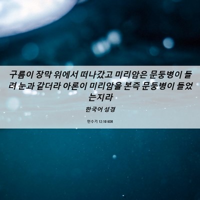 Picture 06 - 민수기 12:10 KOR - 구름이 장막 위에서 떠나갔고 - Bible Verse Picture