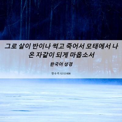 Picture 06 - 민수기 12:12 KOR - 그로 살이 반이나 썩고 죽어서 - Bible Verse Picture