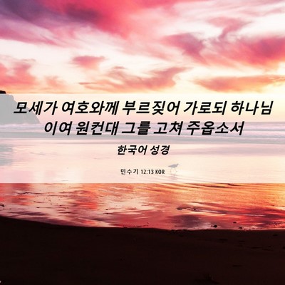 Picture 06 - 민수기 12:13 KOR - 모세가 여호와께 부르짖어 가로되 - Bible Verse Picture