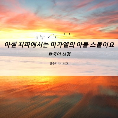 Picture 06 - 민수기 13:13 KOR - 아셀 지파에서는 미가엘의 아들 - Bible Verse Picture