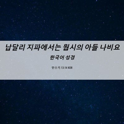 Picture 06 - 민수기 13:14 KOR - 납달리 지파에서는 웝시의 아들 - Bible Verse Picture