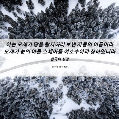 Picture 06 - 민수기 13:16 KOR - 이는 모세가 땅을 탐지하러 보낸 - Bible Verse Picture