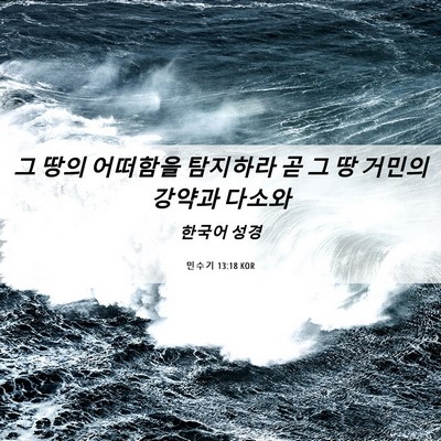 Picture 06 - 민수기 13:18 KOR - 그 땅의 어떠함을 탐지하라 곧 그 땅 - Bible Verse Picture