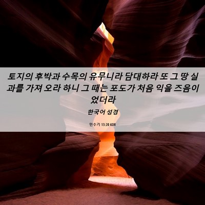 Picture 06 - 민수기 13:20 KOR - 토지의 후박과 수목의 유무니라 - Bible Verse Picture
