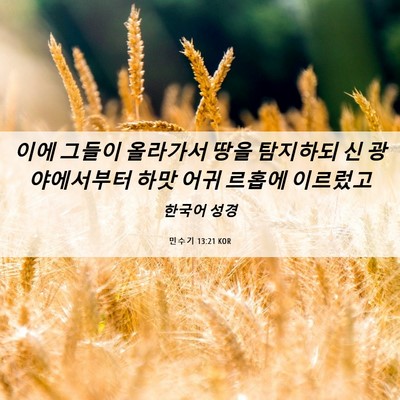 Picture 06 - 민수기 13:21 KOR - 이에 그들이 올라가서 땅을 탐지하되 - Bible Verse Picture