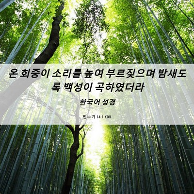 Picture 06 - 민수기 14:1 KOR - 온 회중이 소리를 높여 부르짖으며 - Bible Verse Picture