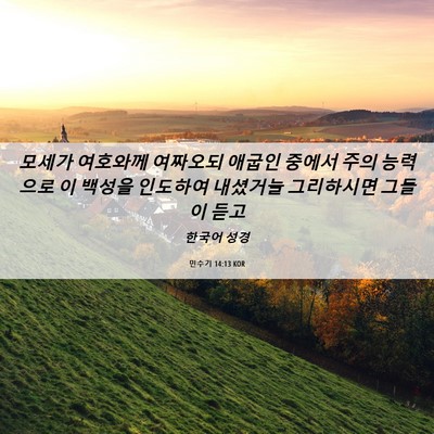 Picture 06 - 민수기 14:13 KOR - 모세가 여호와께 여짜오되 애굽인 - Bible Verse Picture
