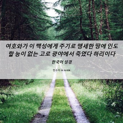 Picture 06 - 민수기 14:16 KOR - 여호와가 이 백성에게 주기로 맹세한 - Bible Verse Picture
