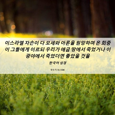 Picture 06 - 민수기 14:2 KOR - 이스라엘 자손이 다 모세와 아론을 - Bible Verse Picture