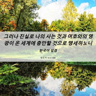 Picture 06 - 민수기 14:21 KOR - 그러나 진실로 나의 사는 것과 - Bible Verse Picture