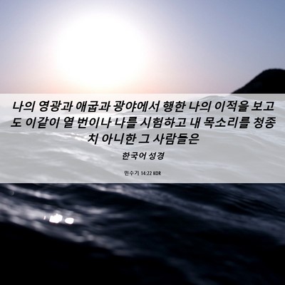 Picture 06 - 민수기 14:22 KOR - 나의 영광과 애굽과 광야에서 행한 - Bible Verse Picture