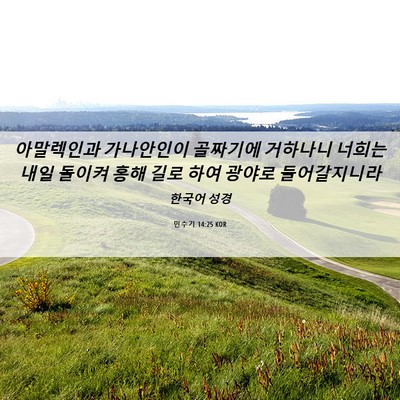 Picture 06 - 민수기 14:25 KOR - 아말렉인과 가나안인이 골짜기에 - Bible Verse Picture