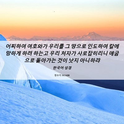 Picture 06 - 민수기 14:3 KOR - 어찌하여 여호와가 우리를 그 땅으로 - Bible Verse Picture