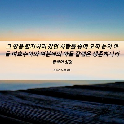 Picture 06 - 민수기 14:38 KOR - 그 땅을 탐지하러 갔던 사람들 중에 - Bible Verse Picture