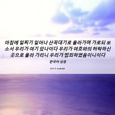 Picture 06 - 민수기 14:40 KOR - 아침에 일찌기 일어나 산꼭대기로 - Bible Verse Picture