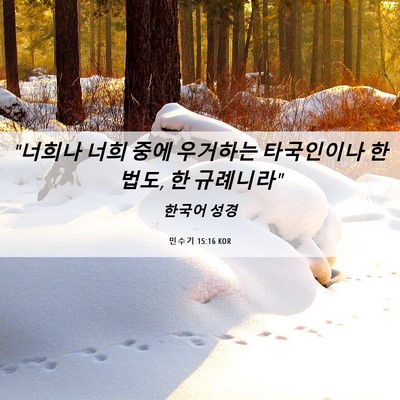 Picture 06 - 민수기 15:16 KOR - 