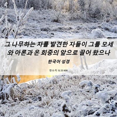 Picture 06 - 민수기 15:33 KOR - 그 나무하는 자를 발견한 자들이 - Bible Verse Picture