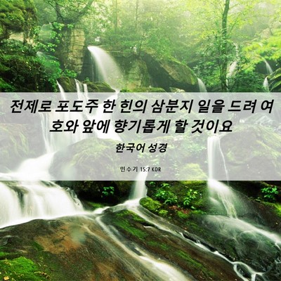 Picture 06 - 민수기 15:7 KOR - 전제로 포도주 한 힌의 삼분지 일을 - Bible Verse Picture