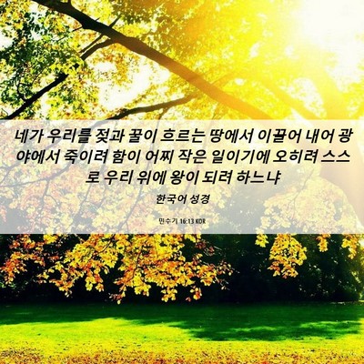 Picture 06 - 민수기 16:13 KOR - 네가 우리를 젖과 꿀이 흐르는 - Bible Verse Picture