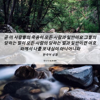 Picture 06 - 민수기 16:29 KOR - 곧 이 사람들의 죽음이 모든 사람과 - Bible Verse Picture