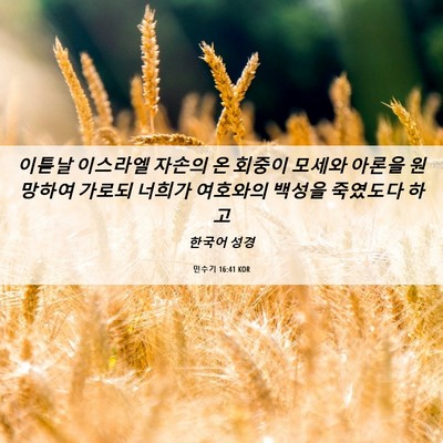 Picture 06 - 민수기 16:41 KOR - 이튿날 이스라엘 자손의 온 회중이 - Bible Verse Picture