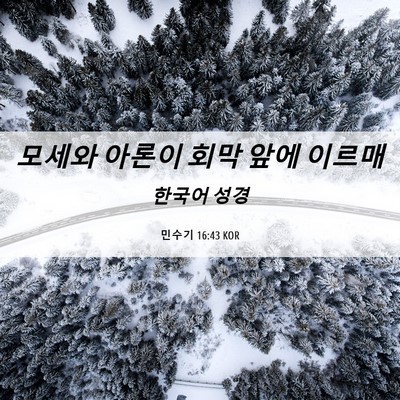 Picture 06 - 민수기 16:43 KOR - 모세와 아론이 회막 앞에 - Bible Verse Picture