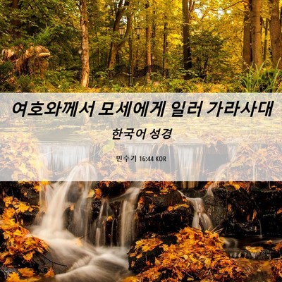 Picture 06 - 민수기 16:44 KOR - 여호와께서 모세에게 일러 - Bible Verse Picture