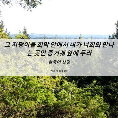 Picture 06 - 민수기 17:4 KOR - 그 지팡이를 회막 안에서 내가 - Bible Verse Picture