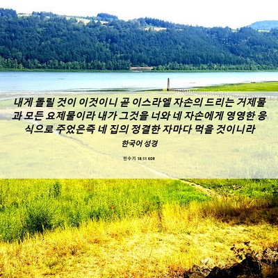 Picture 06 - 민수기 18:11 KOR - 내게 돌릴 것이 이것이니 곧 - Bible Verse Picture