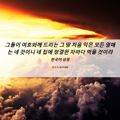 Picture 06 - 민수기 18:13 KOR - 그들이 여호와께 드리는 그 땅 처음 - Bible Verse Picture