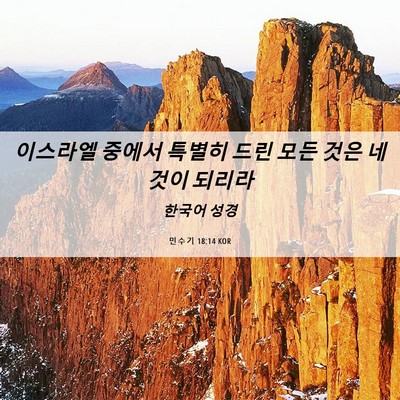 Picture 06 - 민수기 18:14 KOR - 이스라엘 중에서 특별히 드린 모든 - Bible Verse Picture
