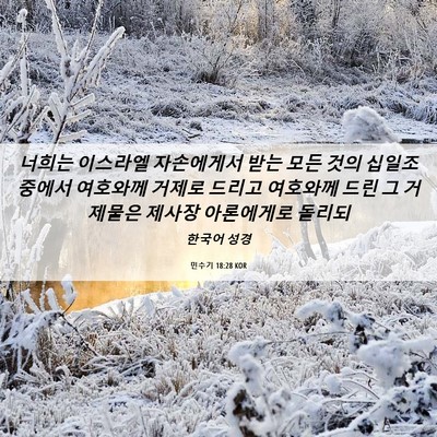 Picture 06 - 민수기 18:28 KOR - 너희는 이스라엘 자손에게서 받는 - Bible Verse Picture