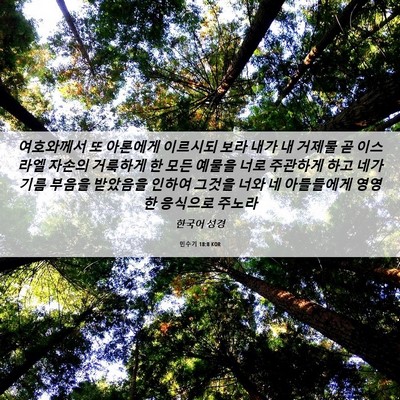 Picture 06 - 민수기 18:8 KOR - 여호와께서 또 아론에게 이르시되 - Bible Verse Picture