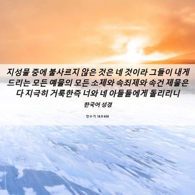 Picture 06 - 민수기 18:9 KOR - 지성물 중에 불사르지 않은 것은 네 - Bible Verse Picture